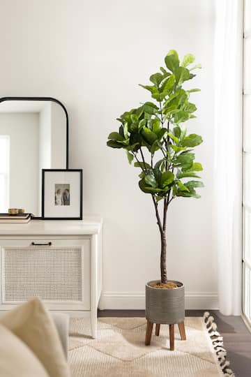 Kate and Laurel Fidmont 6ft. Faux Fiddle Fig Tree in Gavri Wood Footed Planter